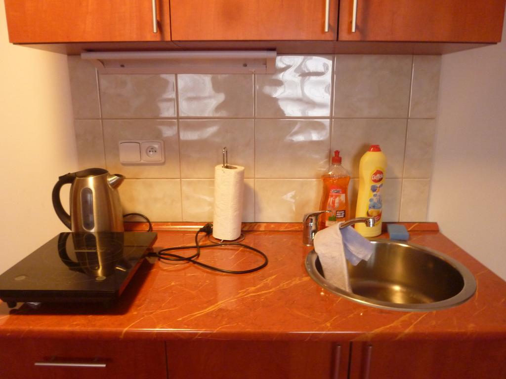 Apartment Karlovy Vary Room photo